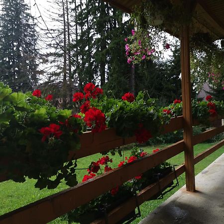 Challet Montan Poiana Braşov Dış mekan fotoğraf
