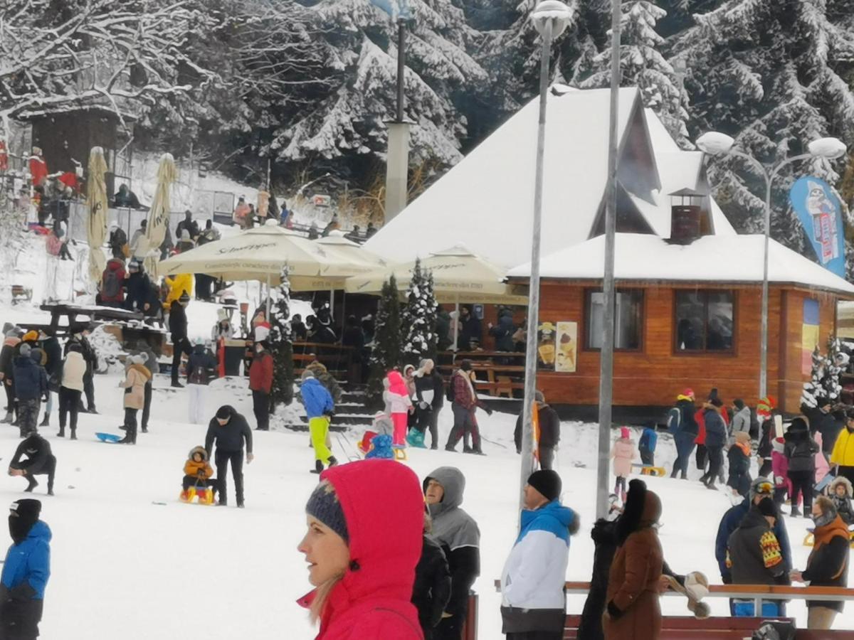Challet Montan Poiana Braşov Dış mekan fotoğraf