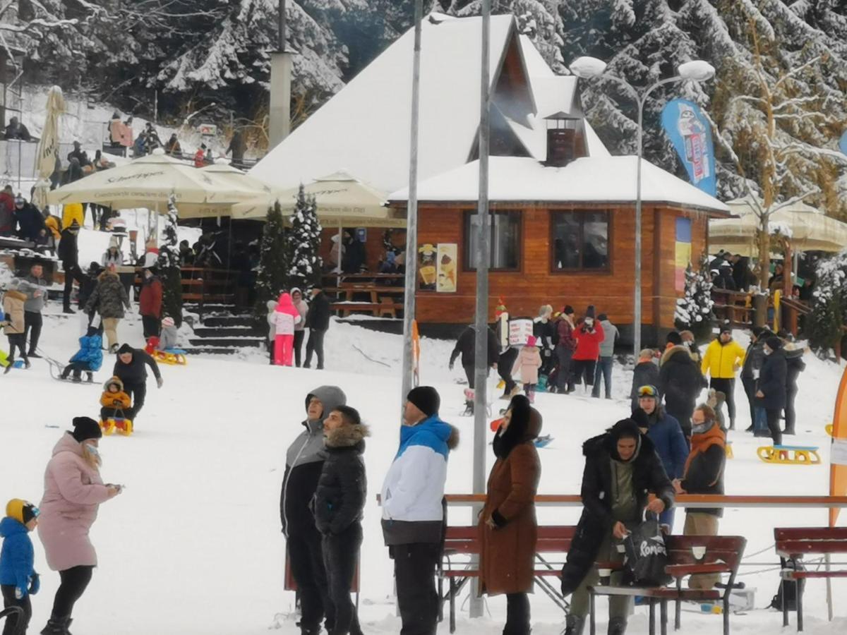 Challet Montan Poiana Braşov Dış mekan fotoğraf