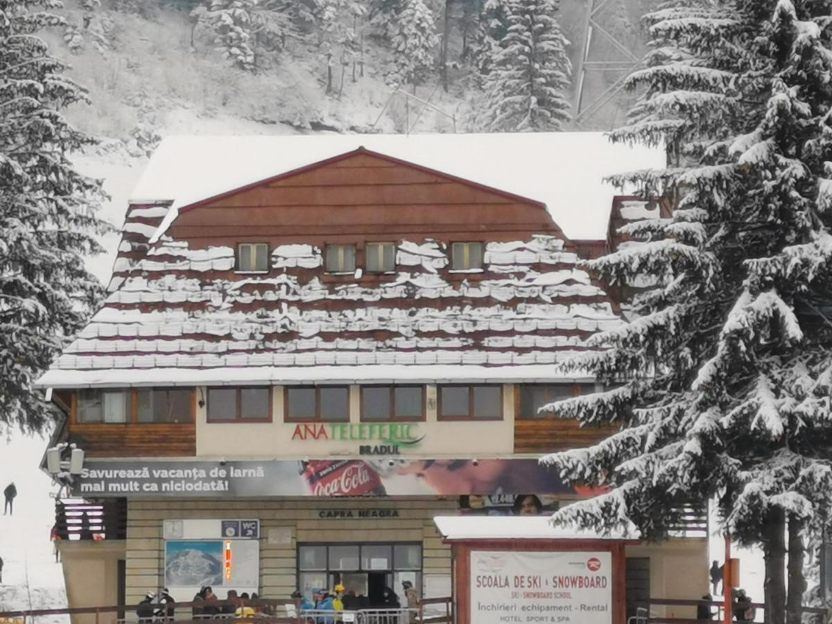 Challet Montan Poiana Braşov Dış mekan fotoğraf