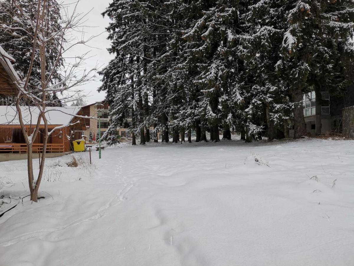 Challet Montan Poiana Braşov Dış mekan fotoğraf
