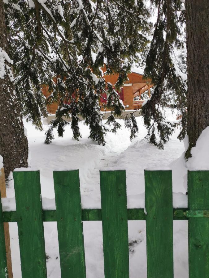 Challet Montan Poiana Braşov Dış mekan fotoğraf