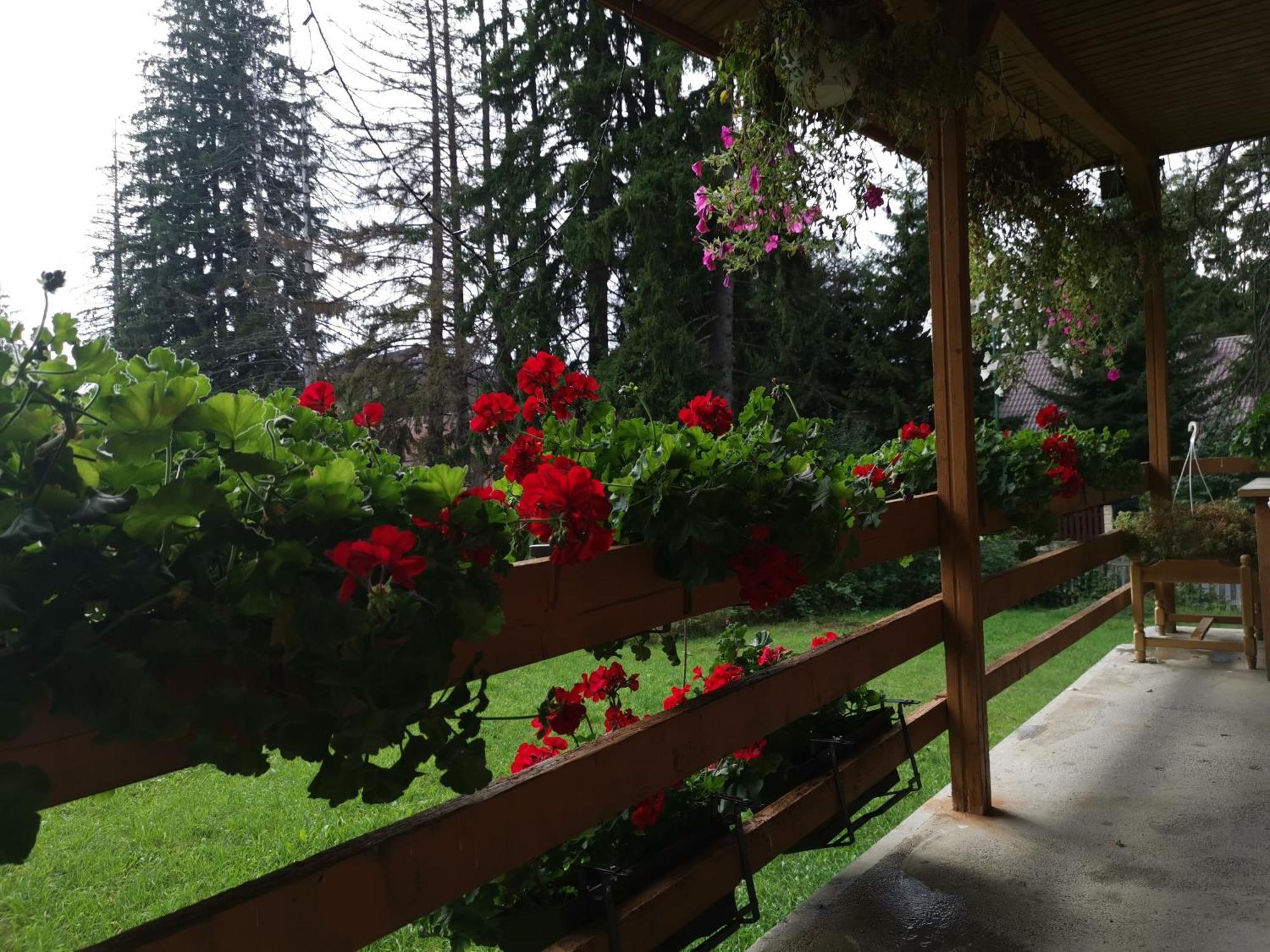 Challet Montan Poiana Braşov Dış mekan fotoğraf