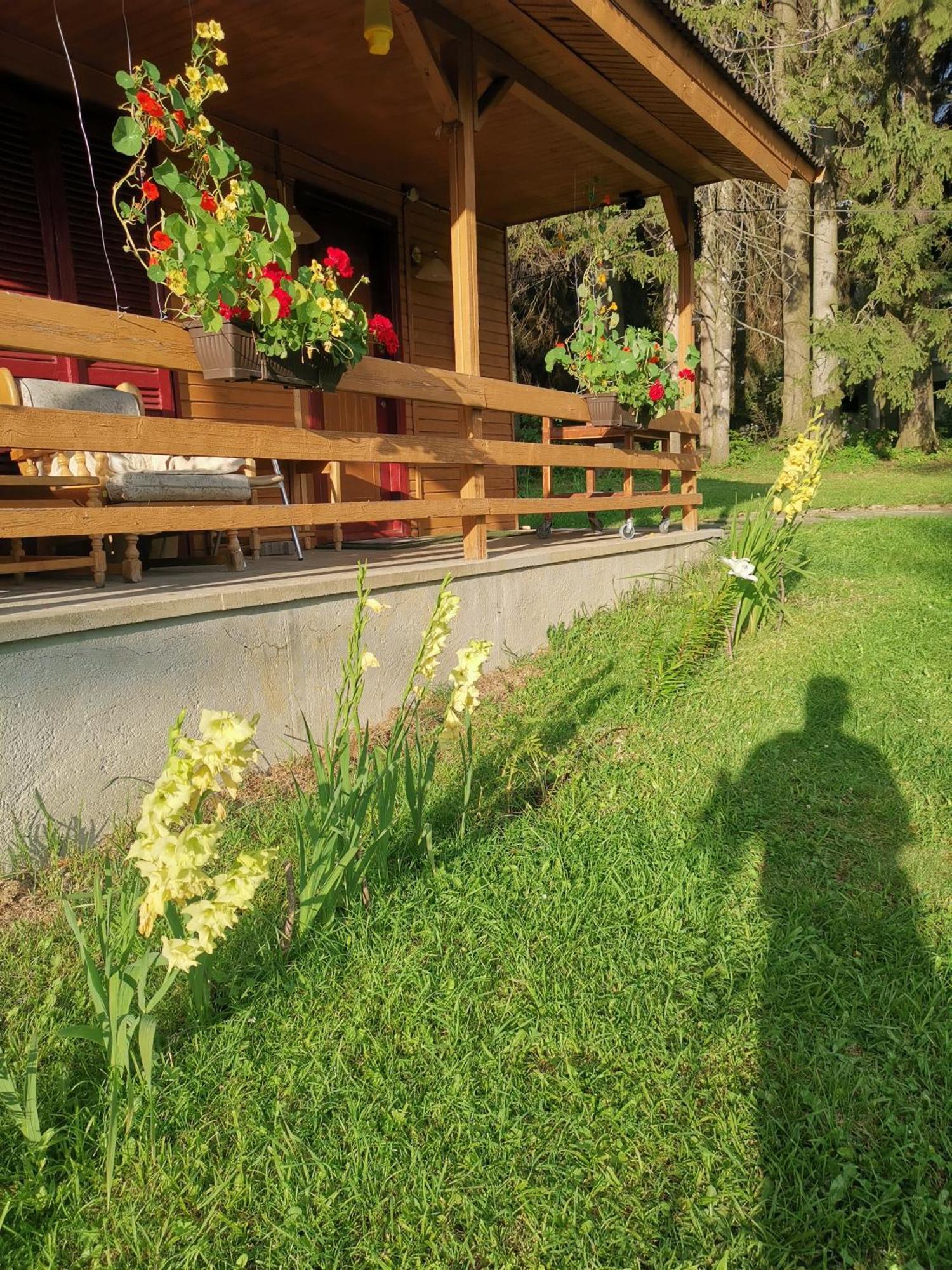Challet Montan Poiana Braşov Dış mekan fotoğraf