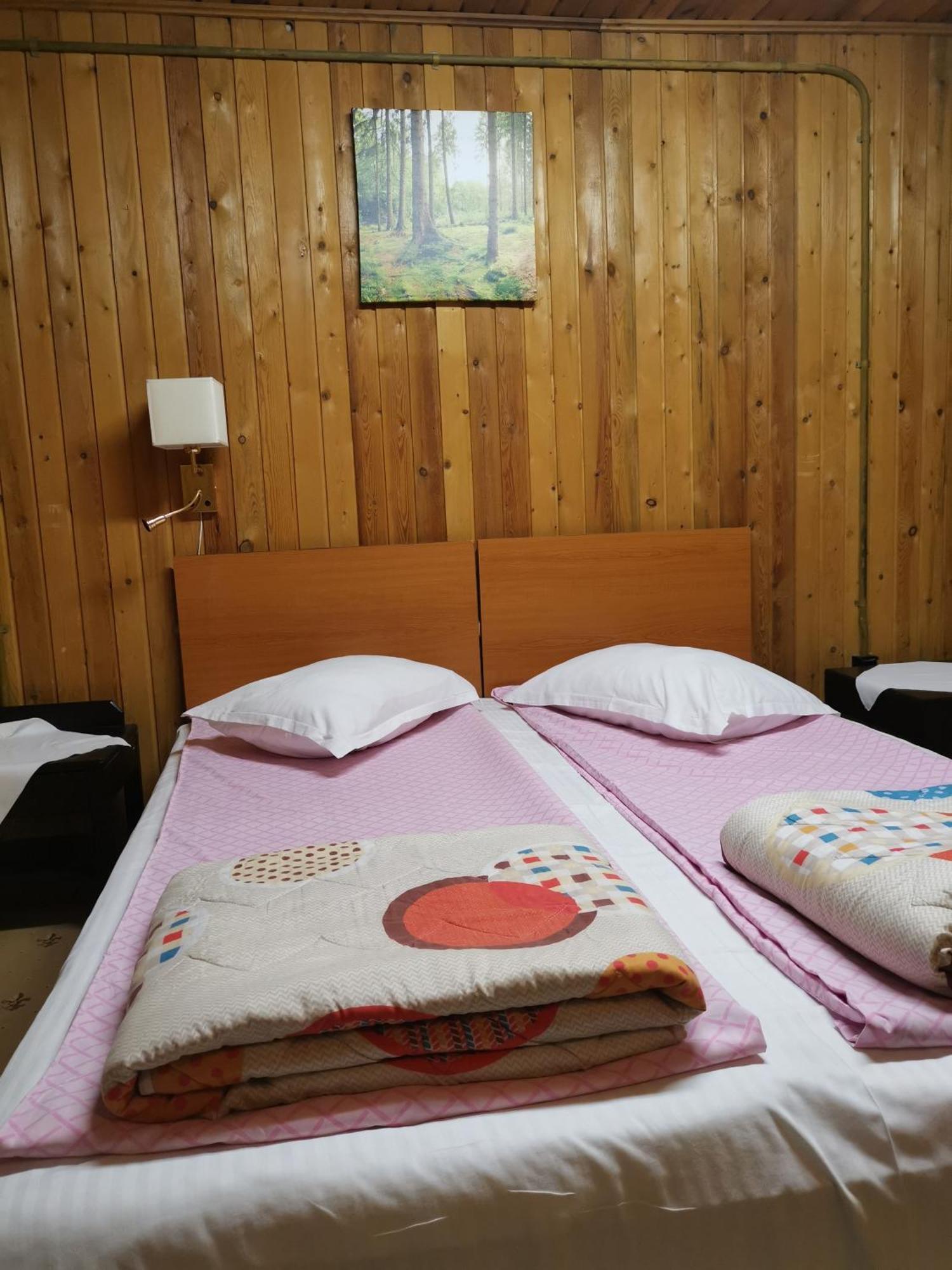Challet Montan Poiana Braşov Dış mekan fotoğraf