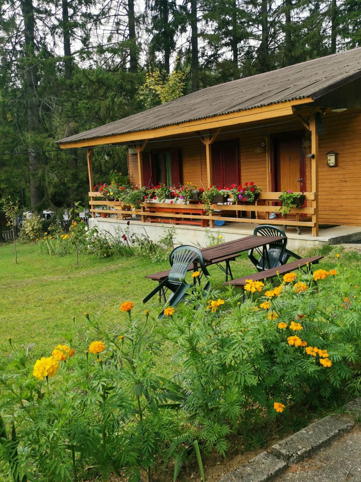Challet Montan Poiana Braşov Dış mekan fotoğraf